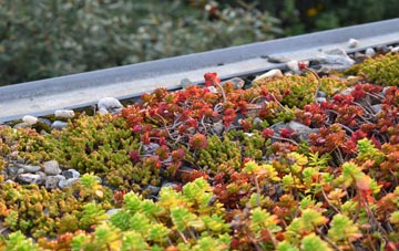 the cost of Damgate green roof installation