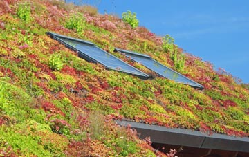 Damgate living roof systems